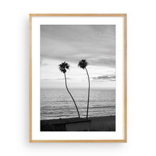 Load image into Gallery viewer, 2 Palms (B+W)