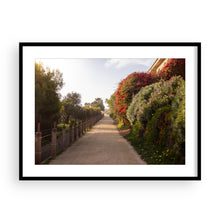 Load image into Gallery viewer, Nature Walk