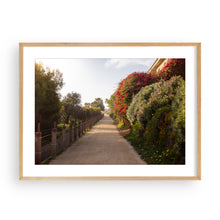 Load image into Gallery viewer, Nature Walk