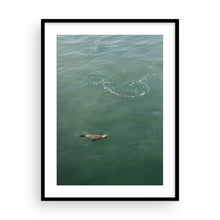 Load image into Gallery viewer, Passing Through