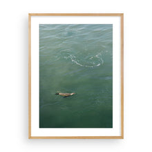 Load image into Gallery viewer, Passing Through
