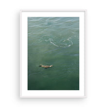 Load image into Gallery viewer, Passing Through