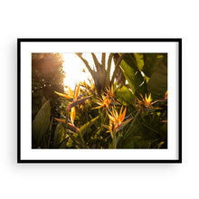 Load image into Gallery viewer, The Birds