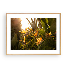 Load image into Gallery viewer, The Birds