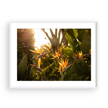 Load image into Gallery viewer, The Birds