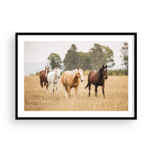 Load image into Gallery viewer, Free Spirit