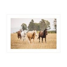 Load image into Gallery viewer, Free Spirit