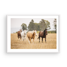 Load image into Gallery viewer, Free Spirit