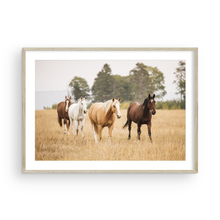 Load image into Gallery viewer, Free Spirit