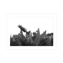 Load image into Gallery viewer, Rough Around the Edges