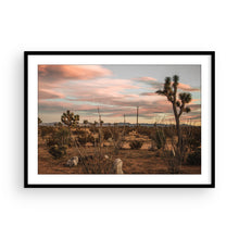 Load image into Gallery viewer, Joshua Tree