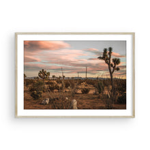 Load image into Gallery viewer, Joshua Tree