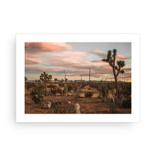 Load image into Gallery viewer, Joshua Tree