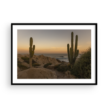 Load image into Gallery viewer, Los Cactus