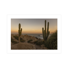 Load image into Gallery viewer, Los Cactus