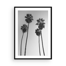 Load image into Gallery viewer, 4 Kings