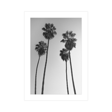 Load image into Gallery viewer, 4 Kings