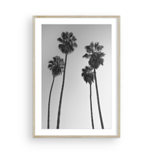 Load image into Gallery viewer, 4 Kings