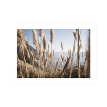 Load image into Gallery viewer, Hwy 1