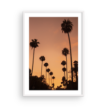 Load image into Gallery viewer, LA Nights