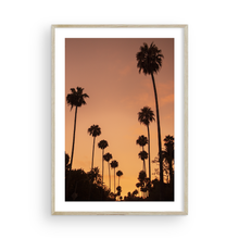 Load image into Gallery viewer, LA Nights