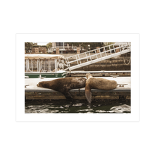 Load image into Gallery viewer, Lazy Day