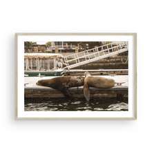 Load image into Gallery viewer, Lazy Day