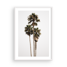 Load image into Gallery viewer, The Three Amigos