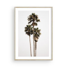 Load image into Gallery viewer, The Three Amigos