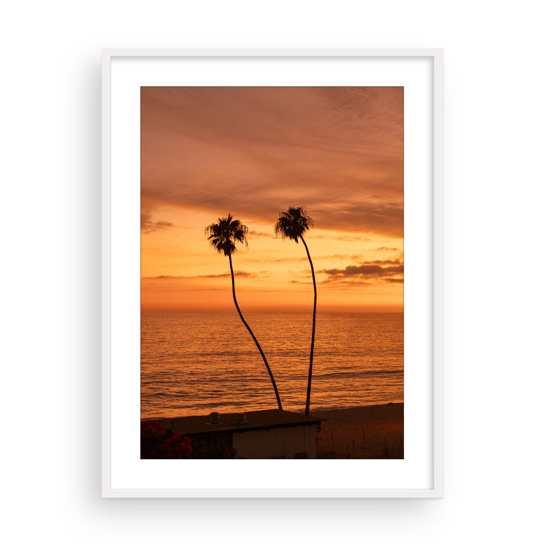 2 Palms