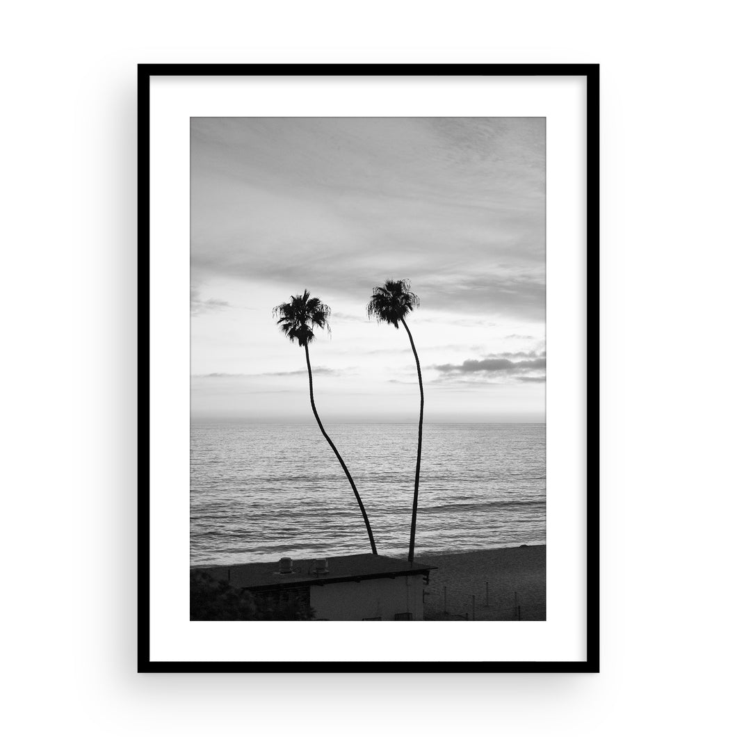 2 Palms (B+W)