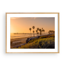 Load image into Gallery viewer, Surfliner
